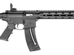 Smith & Wesson M&P15-22 Sport .22 LR