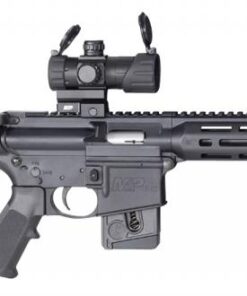 Smith & Wesson M&P15-22 Sport OR .22 LR